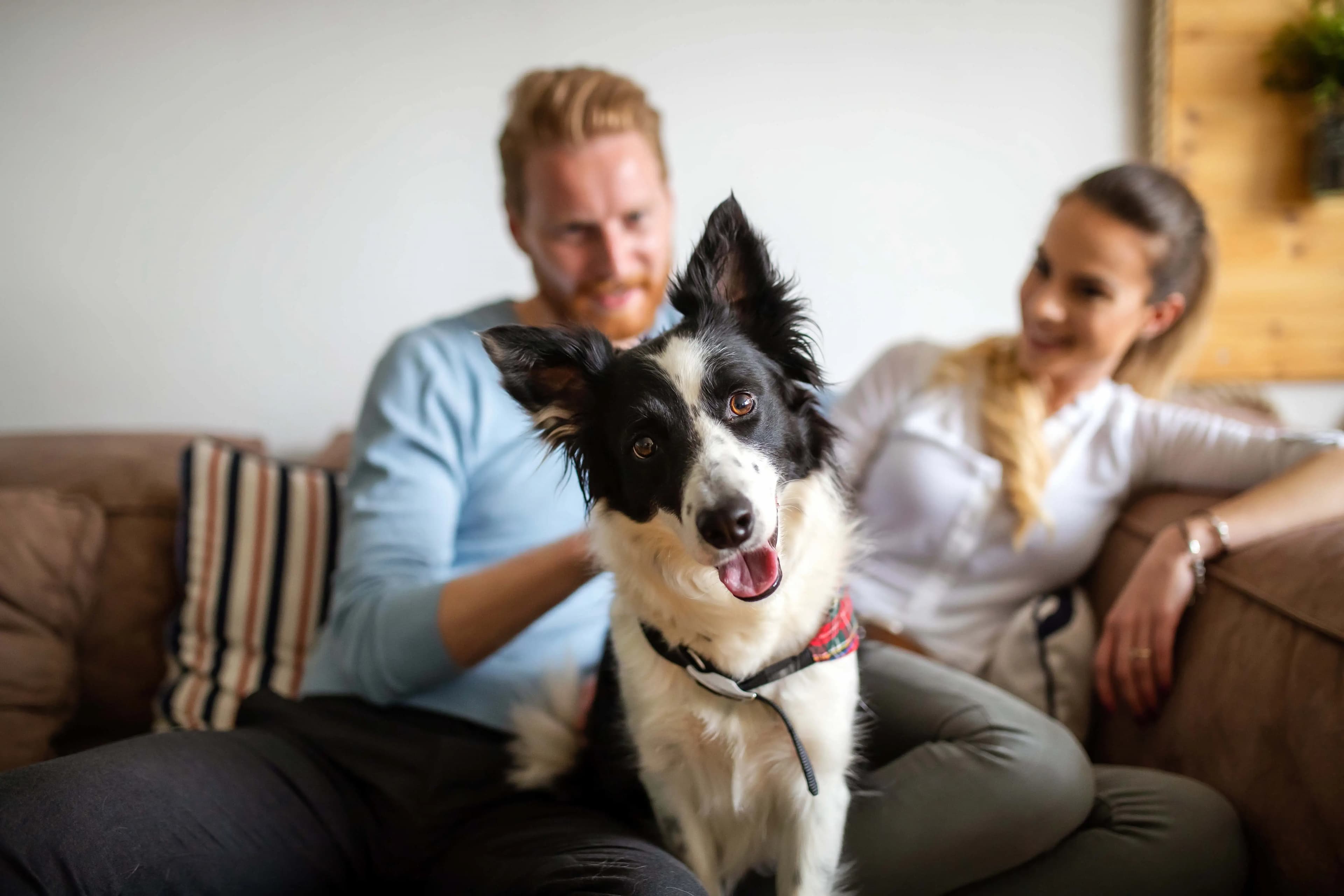 Share Health Records Quickly and Confidently