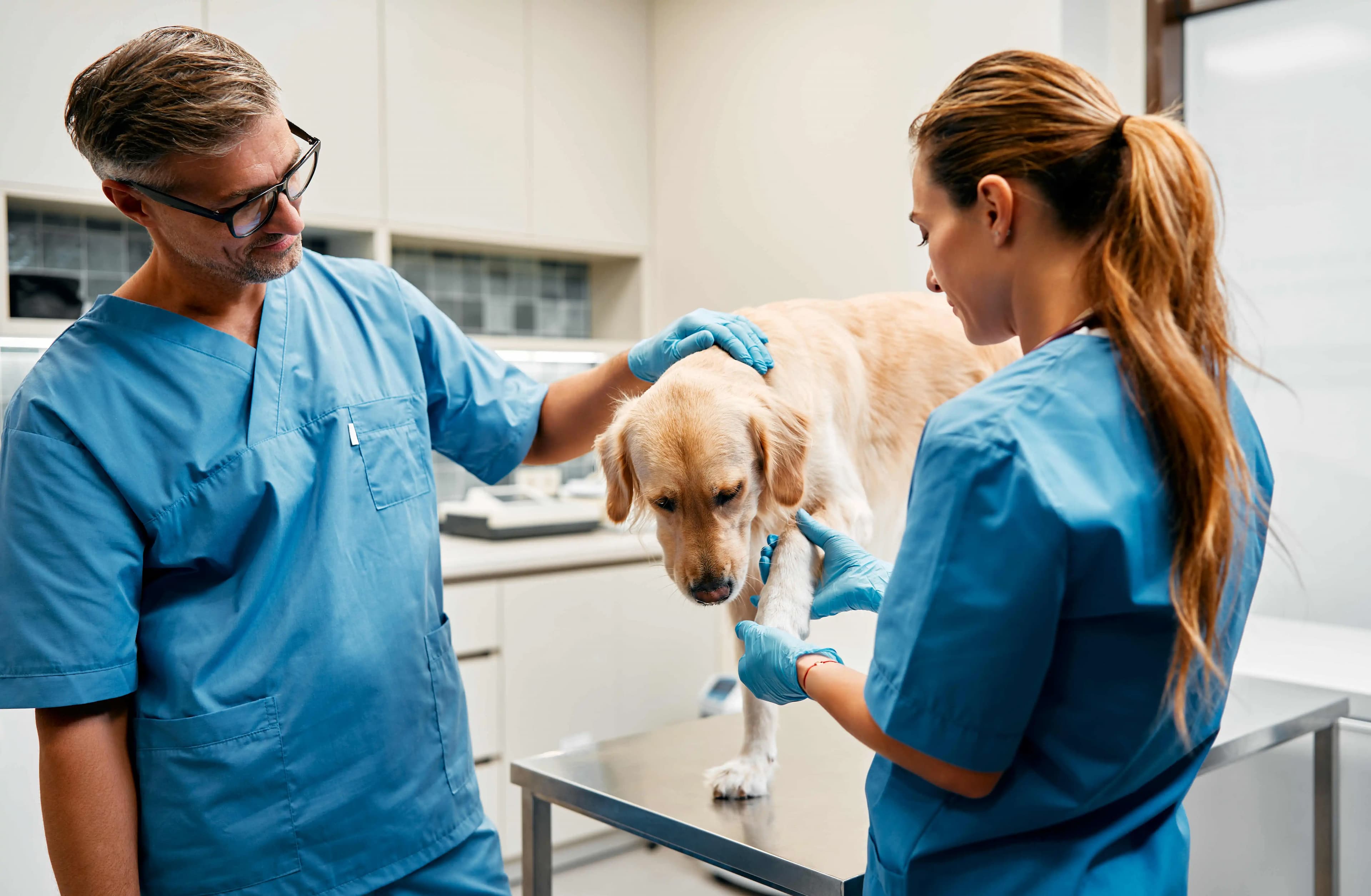 Connect Every Part of Your Pet's Care