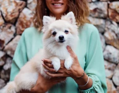 All Your Pet's Records in One Place